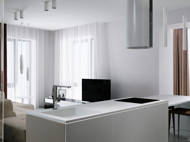 Белая гостиная совмещенная с кухней: фото
